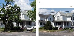 Before and After Trees Destruction;